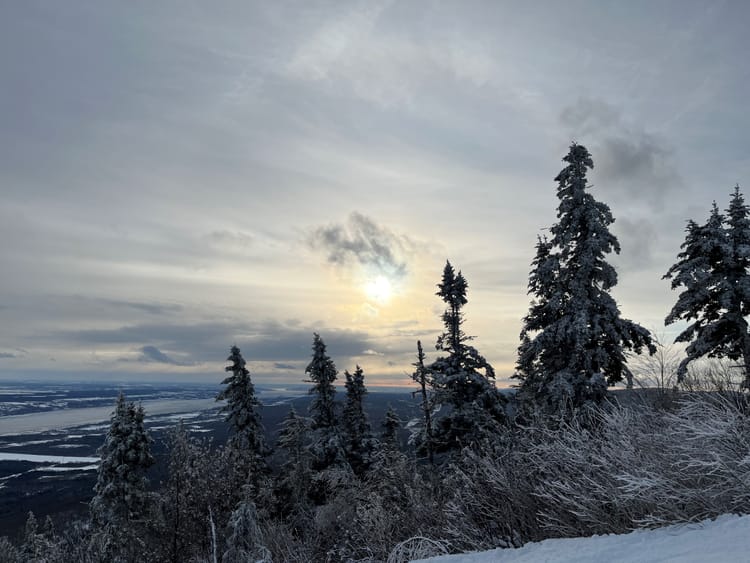 The Importance of Owning Your Ideas: Lessons from a Poet-Philosopher