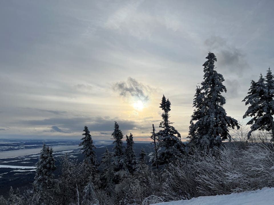 The Importance of Owning Your Ideas: Lessons from a Poet-Philosopher